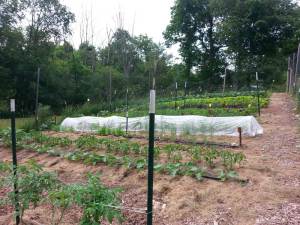 Friend's Local Farm in South East Michigan